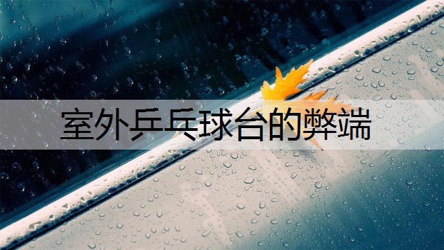 室外乒乓球台的弊端