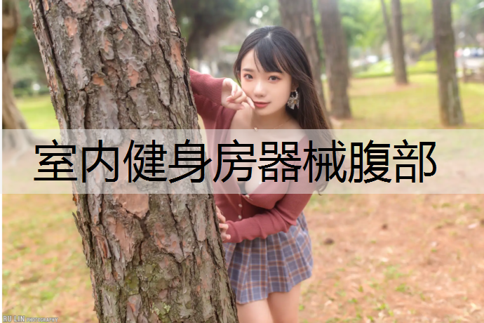 室内健身房器械腹部