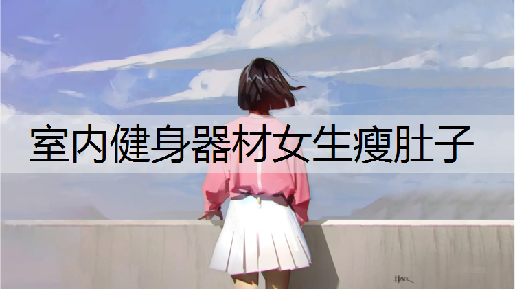 室内健身器材女生瘦肚子