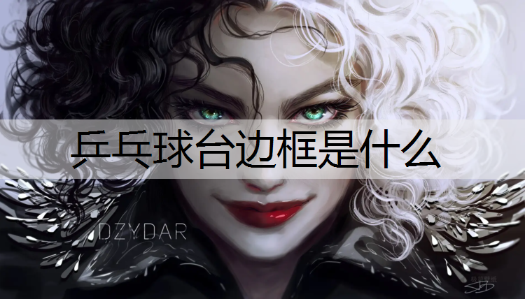 乒乓球台边框是什么