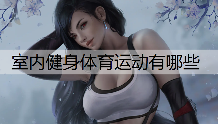 室内健身体育运动有哪些