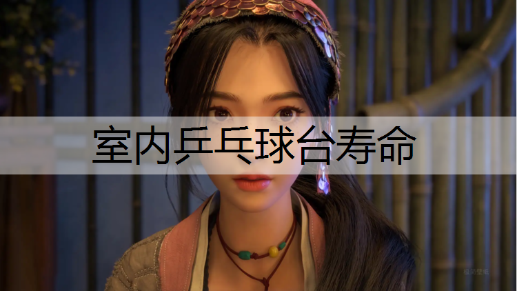 室内乒乓球台寿命
