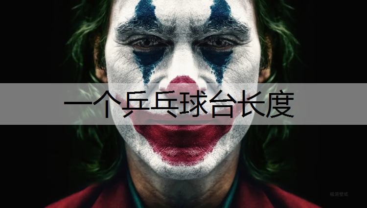 一个乒乓球台长度