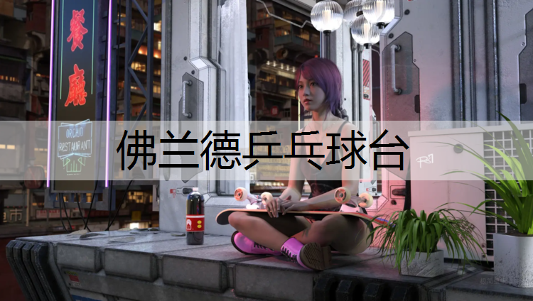佛兰德乒乓球台