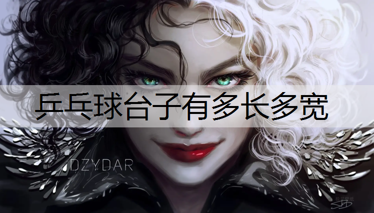 乒乓球台子有多长多宽