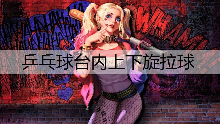 乒乓球台内上下旋拉球