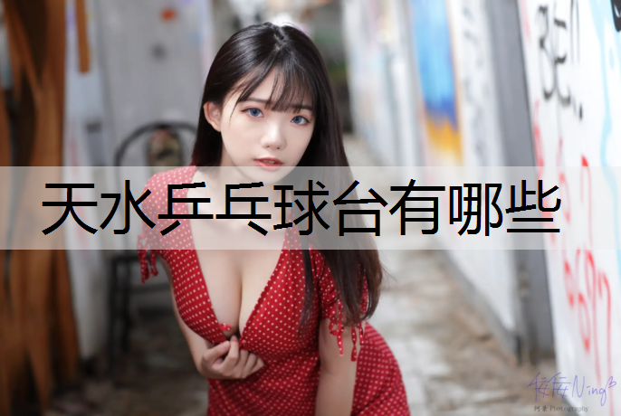 天水乒乓球台有哪些