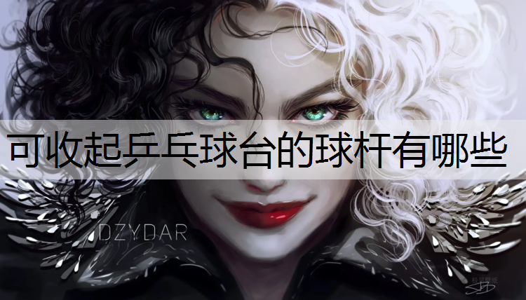 可收起乒乓球台的球杆有哪些