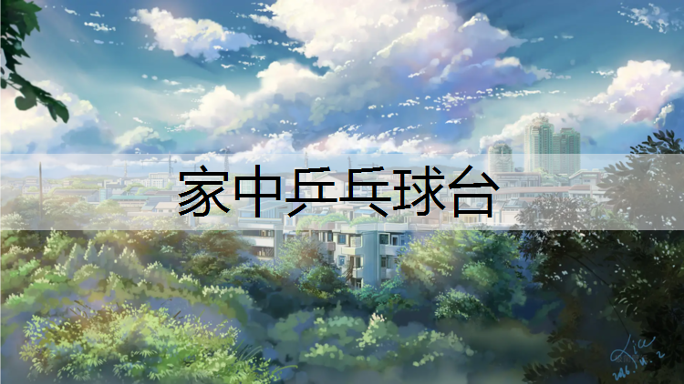 家中乒乓球台