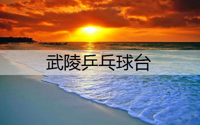 武陵乒乓球台