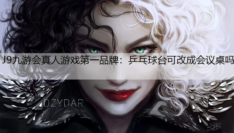 乒乓球台可改成会议桌吗