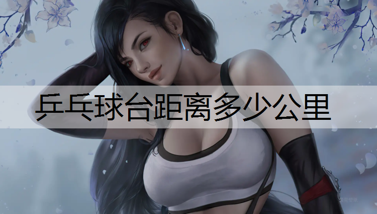 乒乓球台距离多少公里
