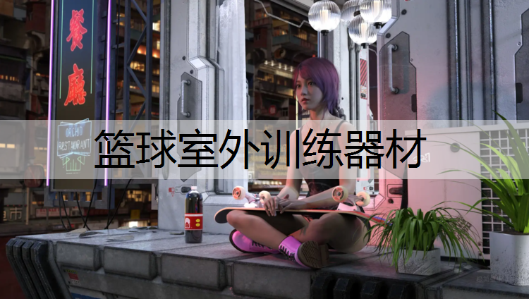 篮球室外训练器材