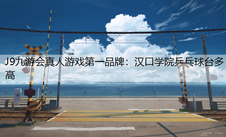 汉口学院乒乓球台多高